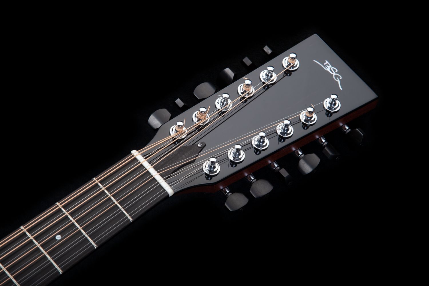 GA 37 F  Twelve  Amazon Rosewood - BSG Custom Guitars