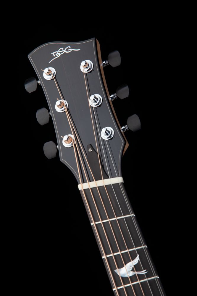 GJ 16 SCF  Fanfret - BSG Custom Guitars