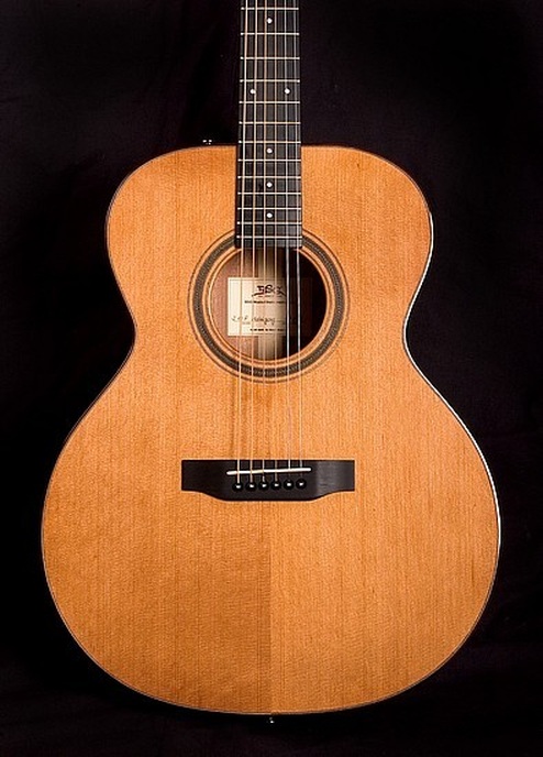 J 10 F Mahagony - BSG Custom Guitars