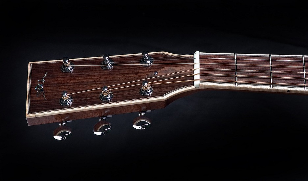 D 10 CF Mahagony - BSG Custom Guitars