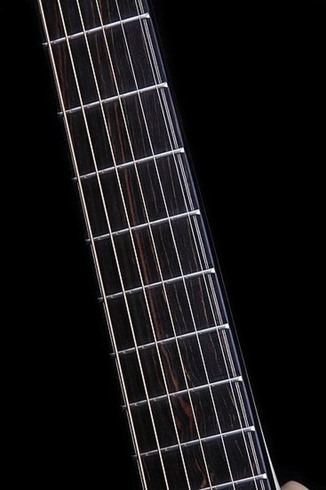 D 27 F  Rosewood - BSG Custom Guitars