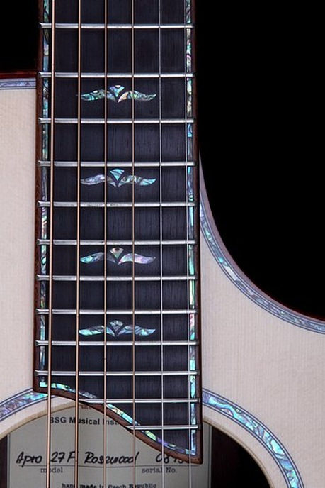 Apro 27 F Rosewood - BSG Custom Guitars
