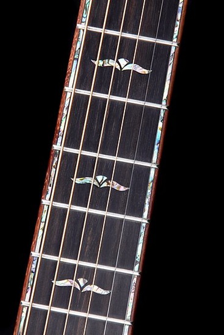 Apro 27 F Rosewood - BSG Custom Guitars