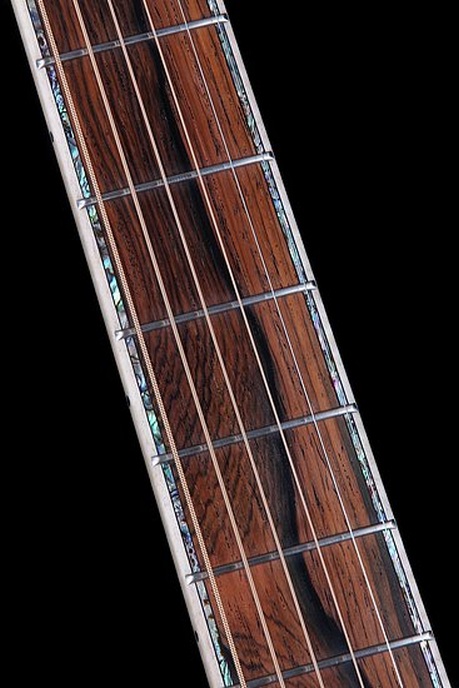 J 42 F Macassar - BSG Custom Guitars