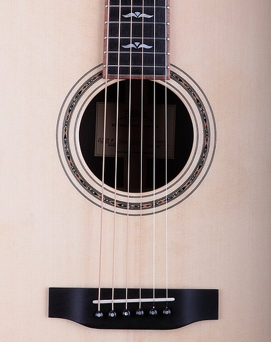 GJ 33 F  Rio Rosewood - BSG Custom Guitars