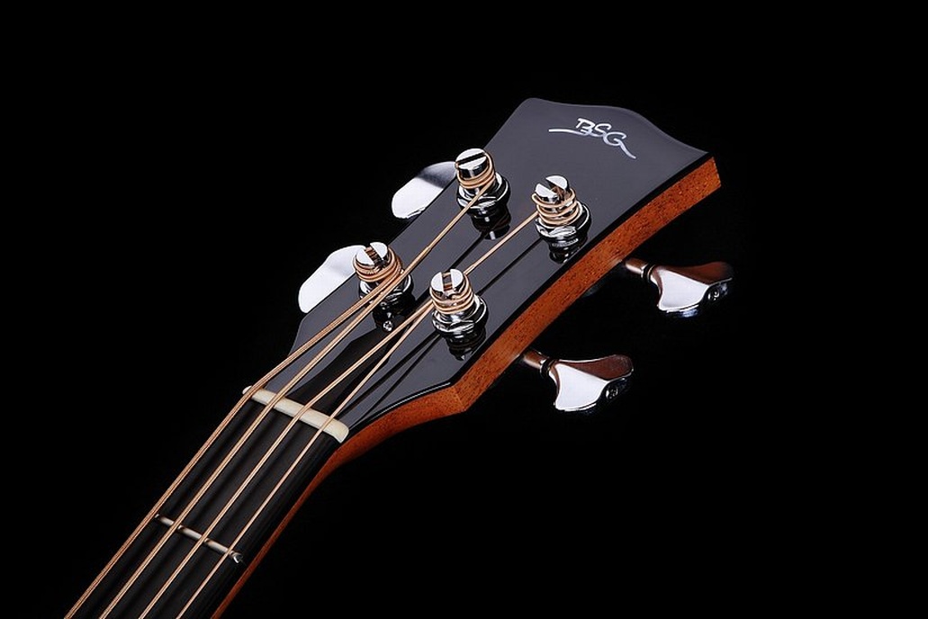 GJ 14 F Bass - Ovangkol - BSG Custom Guitars