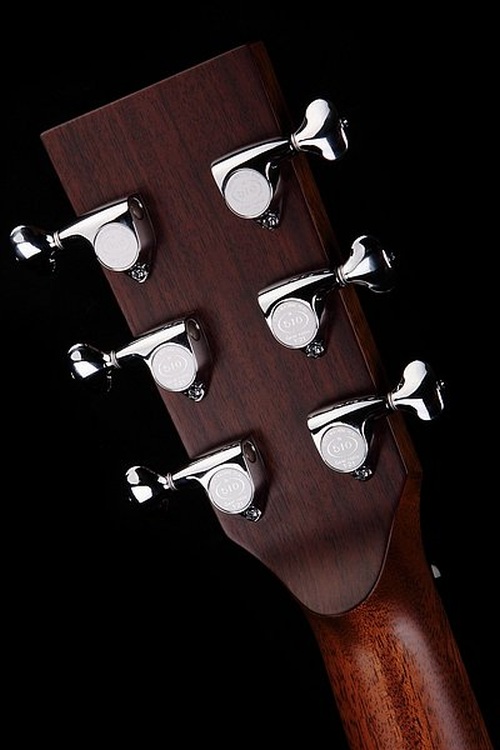 J 31 F  Cocobolo - BSG Custom Guitars