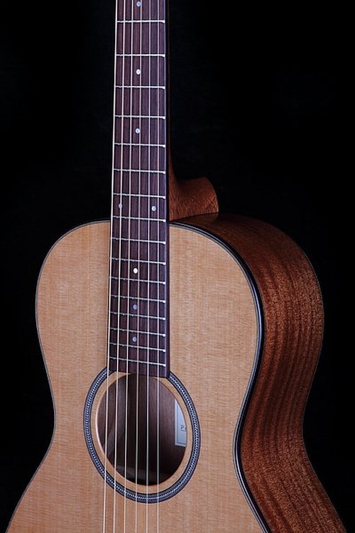 P 10 F Mahagony - BSG Custom Guitars
