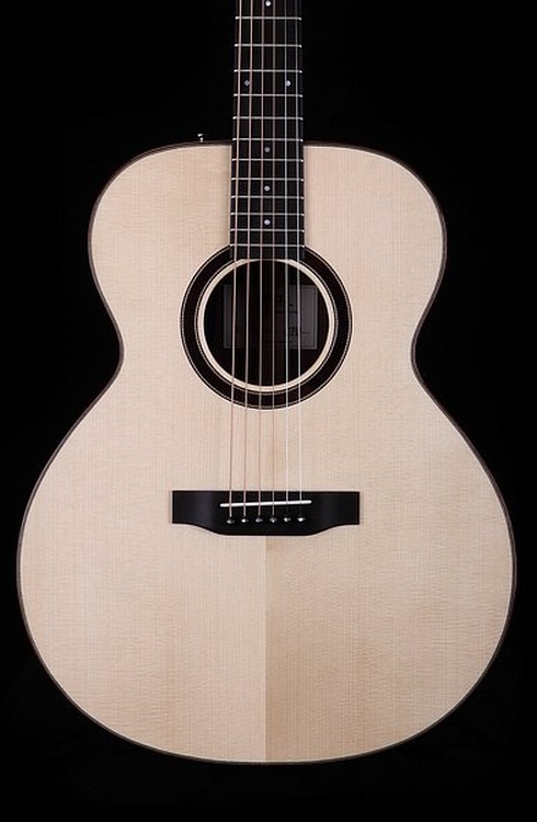 J 31 F Cocobolo - BSG Custom Guitars