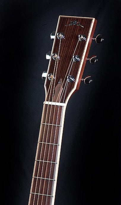 D 10 CF Mahagony - BSG Custom Guitars