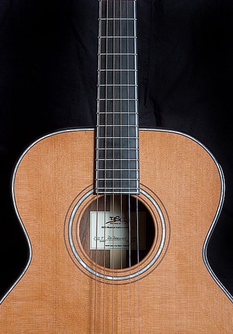 J 33 F Rio Rosewood - BSG Custom Guitars