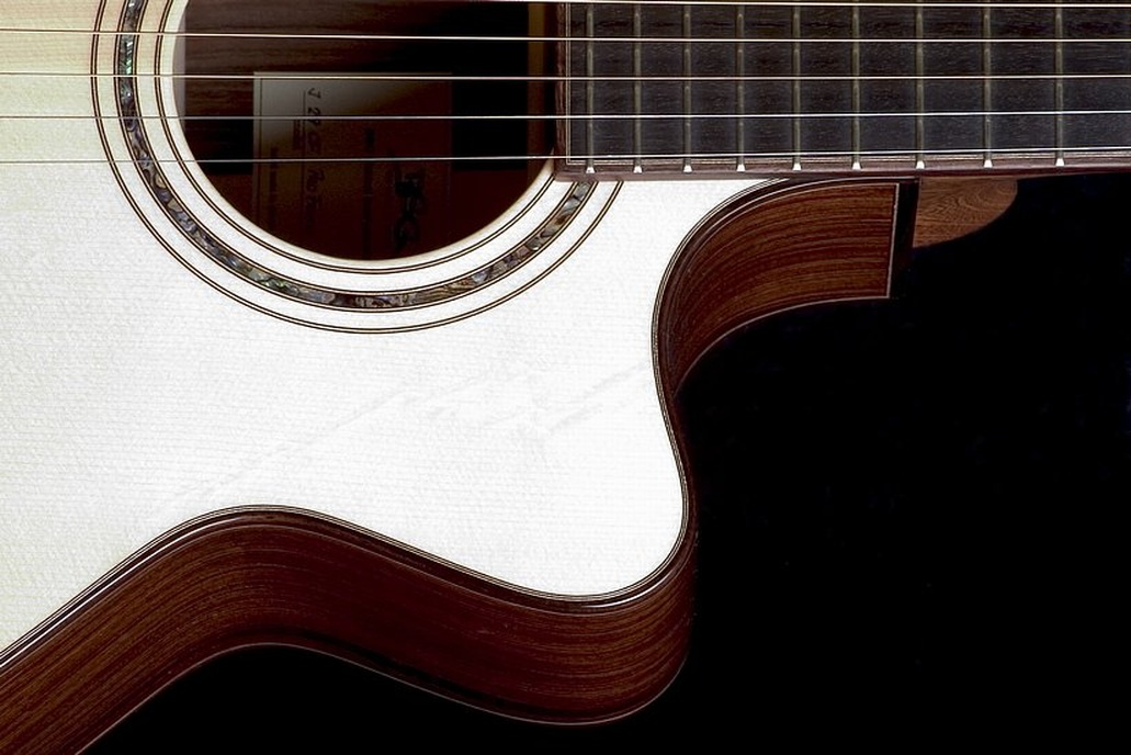 J 29 CF Pao Ferro - BSG Custom Guitars