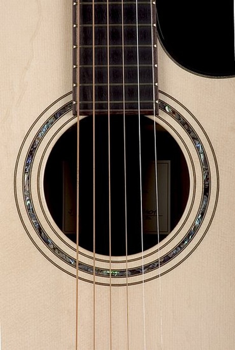 J 29 CF Pao Ferro - BSG Custom Guitars