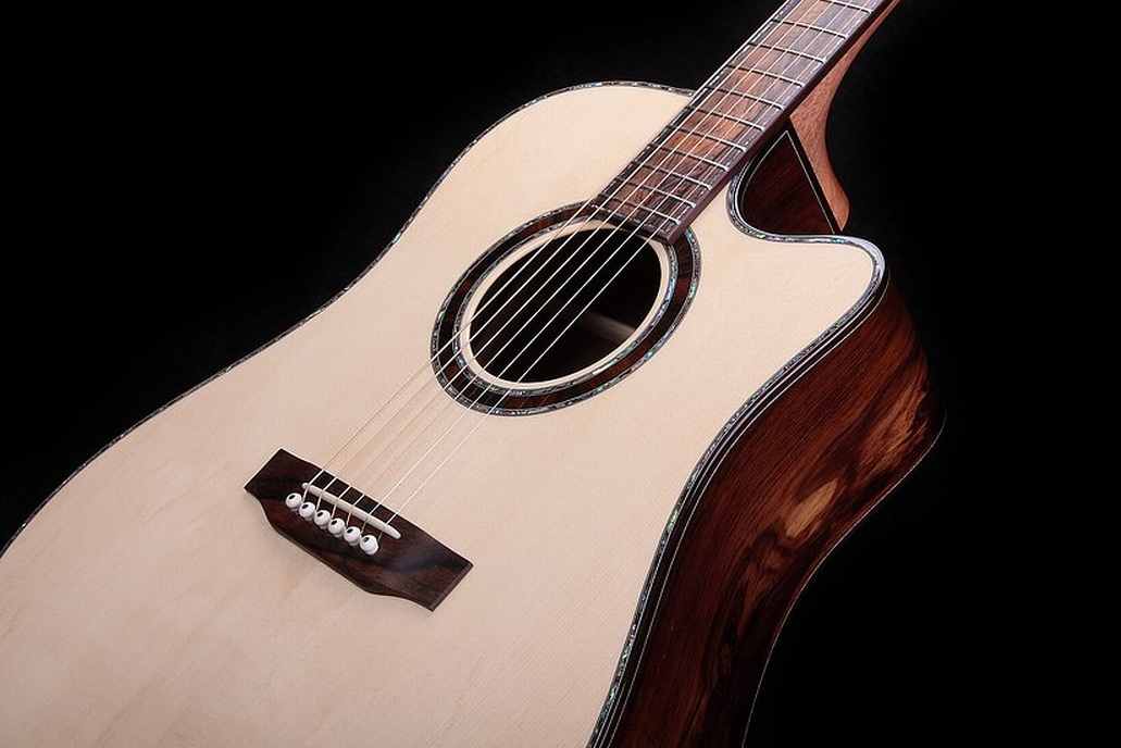 D 37 CF Amazon Rosewood - BSG Custom Guitars