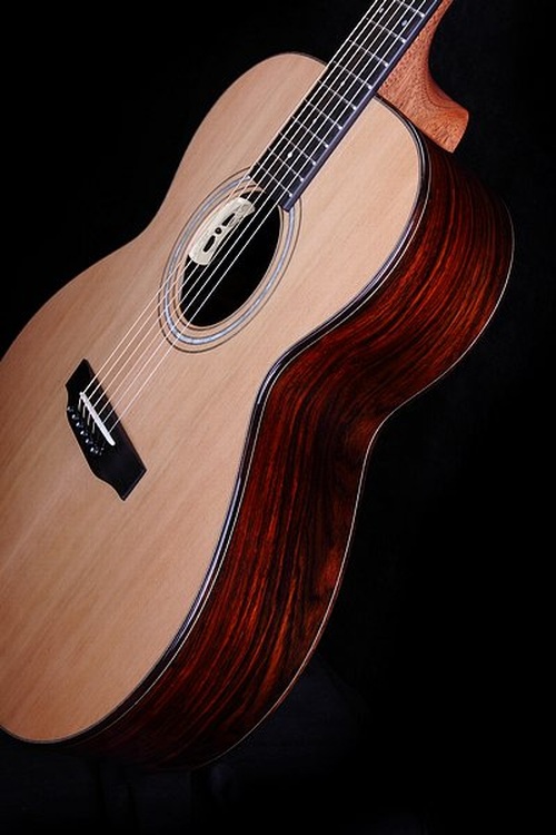 J 31 F  Cocobolo - BSG Custom Guitars