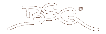 BSG Hand Made Guitars, BSG Custom Guitars